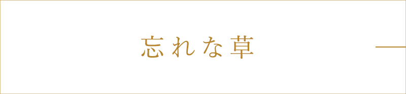 忘れな草